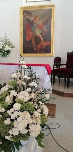 Image1 Image1